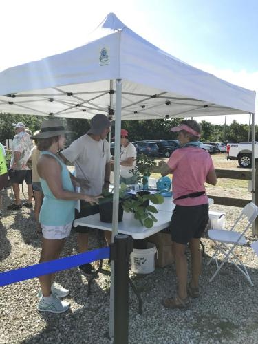 Kristie Killam giving plant advice at Native Plant Day Oct 2023