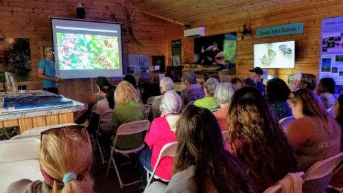 Pollinator Day 2020 - Nature Center presentation