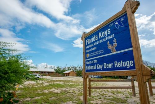 Nature Center sign, Overseas Highway, Big Pine Key