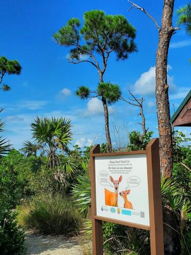 New sign on Manillo trail - Heather Hauser