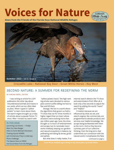 FKWS Newsletter Summer 2022 - check our News tab to read more.