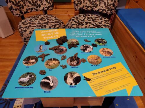 Scat display at Nature Center - Heather Hauser