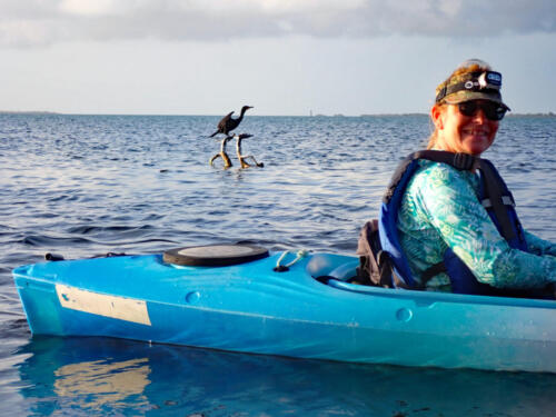 Full Moon Kayaking tour with cormorant - April 2022
