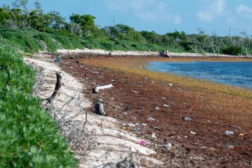 Long Beach, Big Pine Key - cleanup - Oct 2021