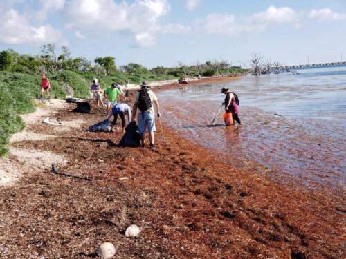 Volunteers clean up north end of Long Beach, Big Pine  - Oct 2021