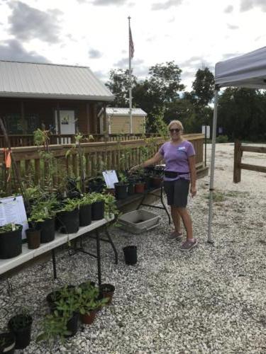 Volunteer Lorraine Schack at Native Plant Day - Oct 2021