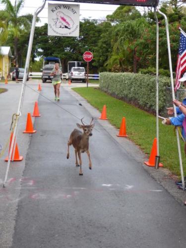 Key Deer finishing a 5K race by Southernmost Runners, 2017.