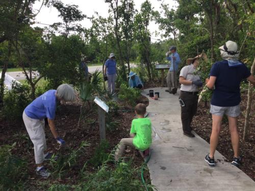 Planting natives at CLNWR