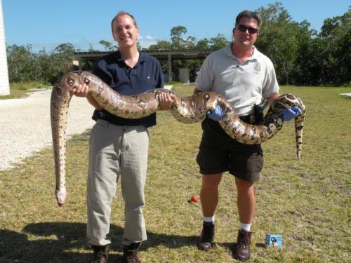 Exotic boa constrictor removed from NKDR by USFWS