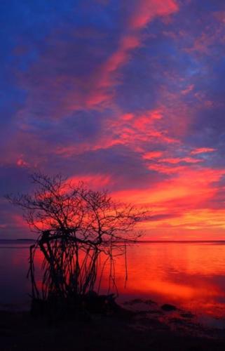 Sunrise by Kristie Killam