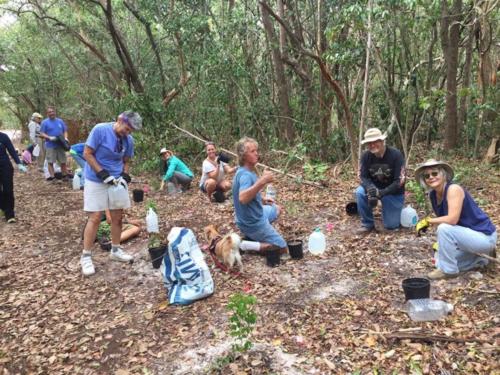 Tree planting April 2017