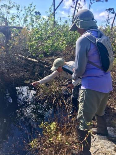 Water quality sampling